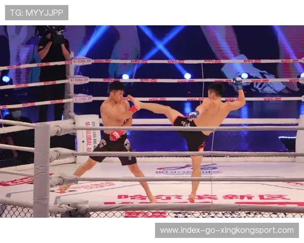 MMA地面与站立技融合成新潮流